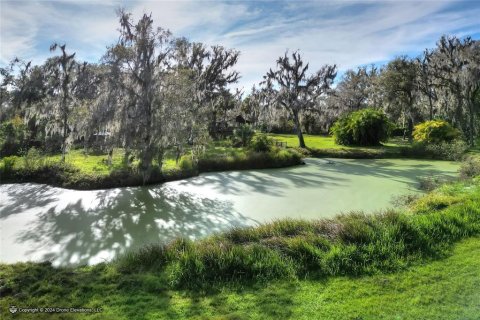 Land in Plant City, Florida № 1191028 - photo 5