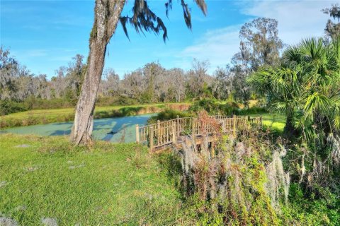 Land in Plant City, Florida № 1191028 - photo 14