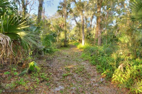 Land in Plant City, Florida № 1191028 - photo 12