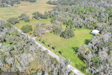 Land in Plant City, Florida № 1191028 - photo 11