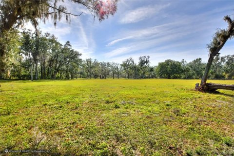 Land in Plant City, Florida № 1191028 - photo 9