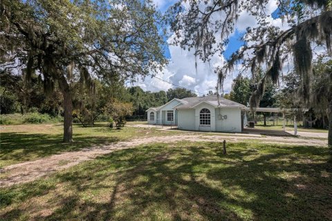 Villa ou maison à New Smyrna Beach, Floride 3 chambres, 184.32 m2 № 2356565