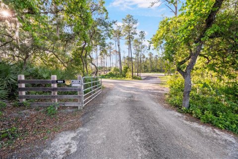 Terrain à Deltona, Floride № 2233914