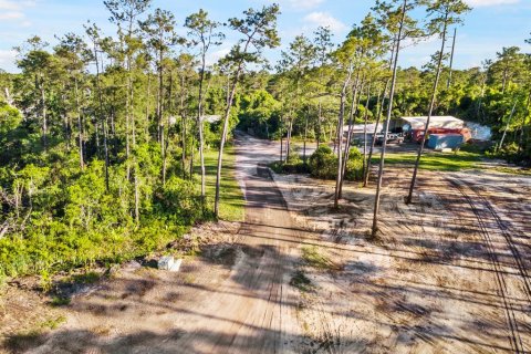 Terrain à vendre à Deltona, Floride № 2233914 - photo 6