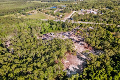 Terrain à vendre à Deltona, Floride № 2233914 - photo 11