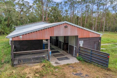 Купить земельный участок в Тарпон-Спрингс, Флорида № 1684943 - фото 2