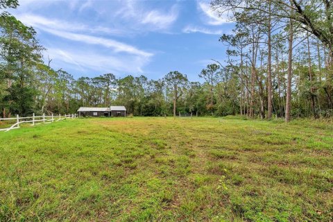 Terreno en venta en Tarpon Springs, Florida № 1684943 - foto 11