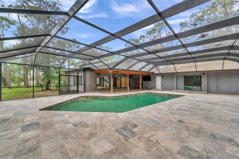 Land in Tarpon Springs, Florida № 1684943 - photo 24