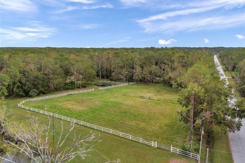 Купить земельный участок в Тарпон-Спрингс, Флорида № 1684943 - фото 4