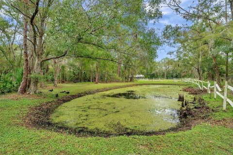Купить земельный участок в Тарпон-Спрингс, Флорида № 1684943 - фото 10