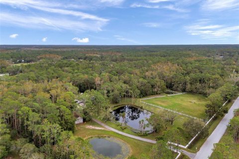 Купить земельный участок в Тарпон-Спрингс, Флорида № 1684943 - фото 1