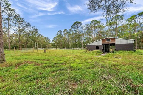 Купить земельный участок в Тарпон-Спрингс, Флорида № 1684943 - фото 12