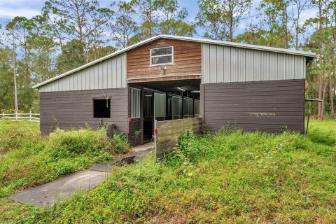 Купить земельный участок в Тарпон-Спрингс, Флорида № 1684943 - фото 13