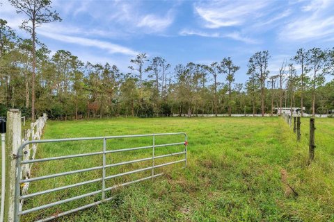 Land in Tarpon Springs, Florida № 1684943 - photo 9