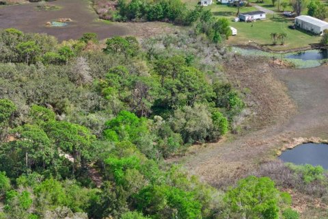 Land in New Port Richey, Florida № 2166127 - photo 20