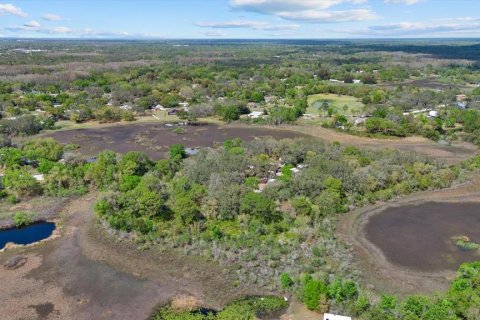 Land in New Port Richey, Florida № 2166127 - photo 16