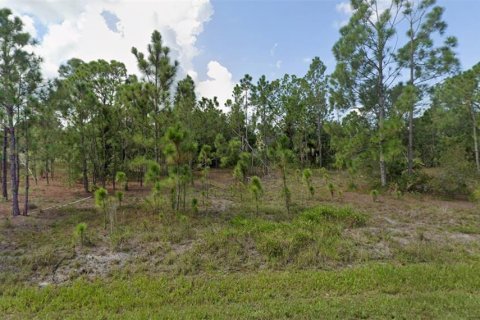 Land in Punta Gorda, Florida № 2159854 - photo 2