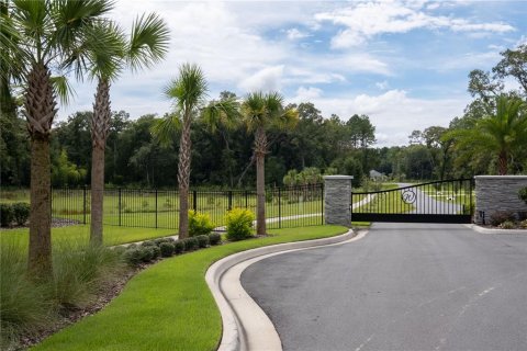 Terreno en venta en Newberry, Florida № 2097378 - foto 5