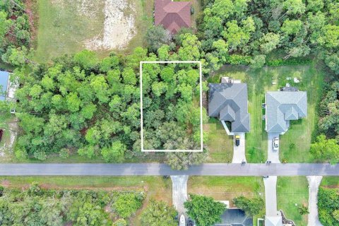 Land in Fort Myers, Florida № 2160089 - photo 2