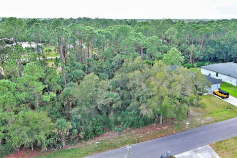 Land in Fort Myers, Florida № 2160089 - photo 4