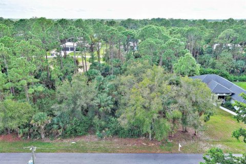 Land in Fort Myers, Florida № 2160089
