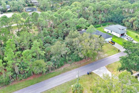 Land in Fort Myers, Florida № 2160089 - photo 13