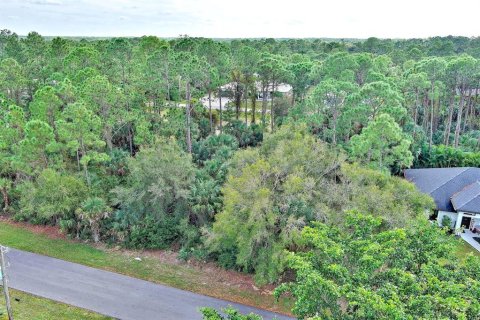 Land in Fort Myers, Florida № 2160089 - photo 3