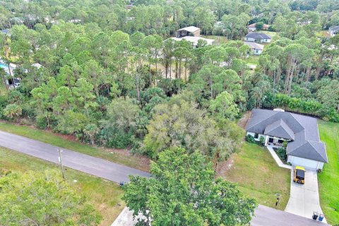 Land in Fort Myers, Florida № 2160089 - photo 9