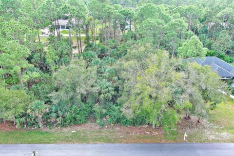 Land in Fort Myers, Florida № 2160089 - photo 6