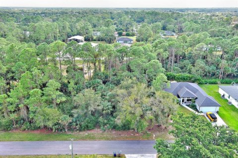 Land in Fort Myers, Florida № 2160089 - photo 11