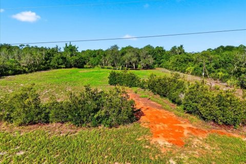 Terreno en Frostproof, Florida № 2202943