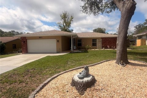 Villa ou maison à Inverness, Floride 4 chambres, 176.14 m2 № 2095672