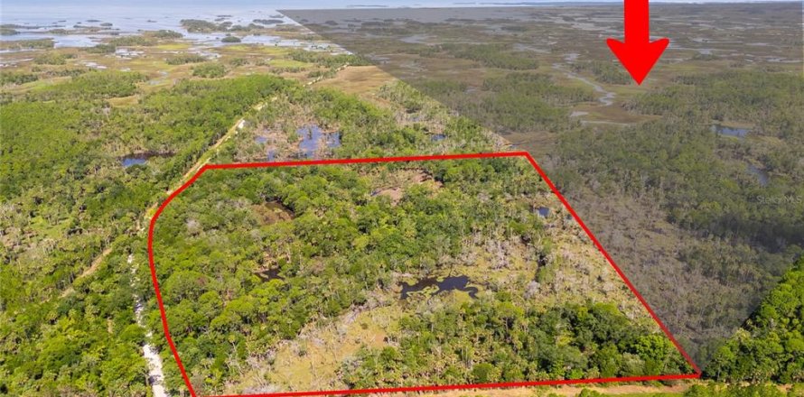 Land in Yankeetown, Florida № 1886495