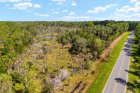 Land in Yankeetown, Florida № 1886495 - photo 17