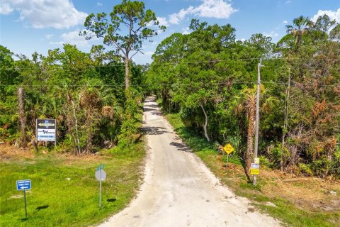 Land in Yankeetown, Florida № 1886495 - photo 19