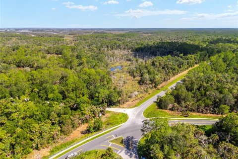 Land in Yankeetown, Florida № 1886495 - photo 15