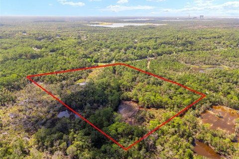 Land in Yankeetown, Florida № 1886495 - photo 9