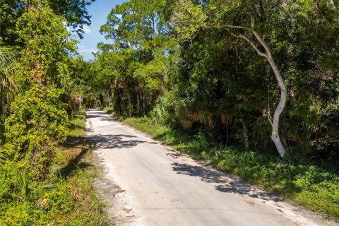 Land in Yankeetown, Florida № 1886495 - photo 21