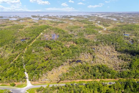 Land in Yankeetown, Florida № 1886495 - photo 4