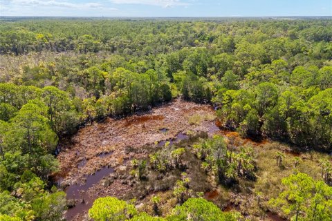 Land in Yankeetown, Florida № 1886495 - photo 26