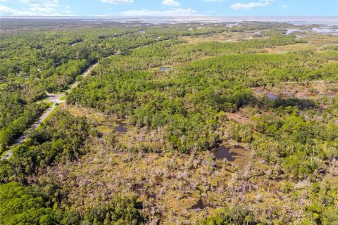 Land in Yankeetown, Florida № 1886495 - photo 6
