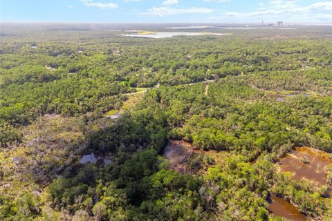 Land in Yankeetown, Florida № 1886495 - photo 10