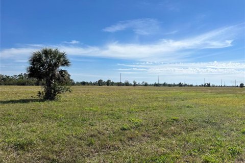Land in Placida, Florida № 2228834 - photo 5