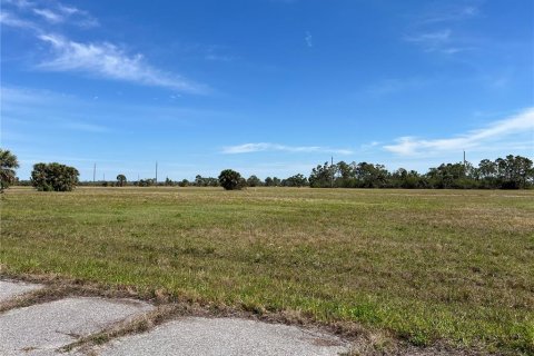 Land in Placida, Florida № 2228834 - photo 4