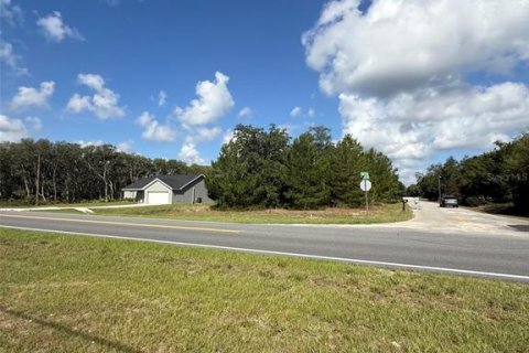 Land in Ocklawaha, Florida № 2207936 - photo 4