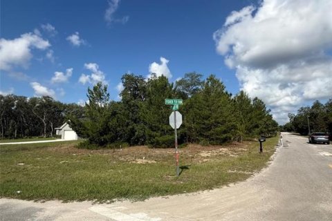Land in Ocklawaha, Florida № 2207936 - photo 2