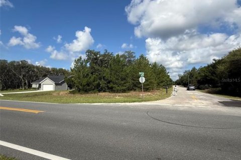 Terrain à Ocklawaha, Floride № 2207936