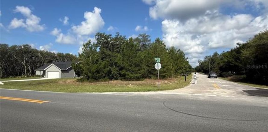 Land in Ocklawaha, Florida № 2207936