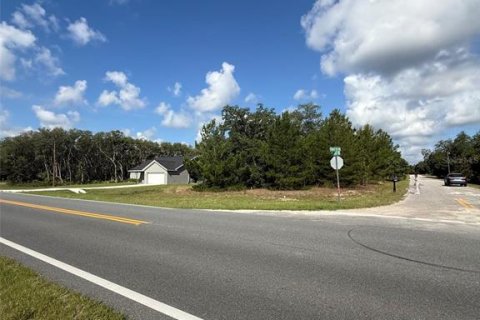 Land in Ocklawaha, Florida № 2207936 - photo 3