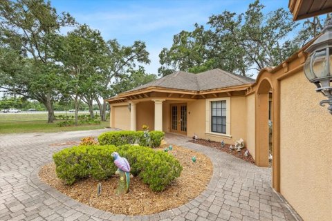 House in Lutz, Florida 6 bedrooms, 372.72 sq.m. № 1773367 - photo 6